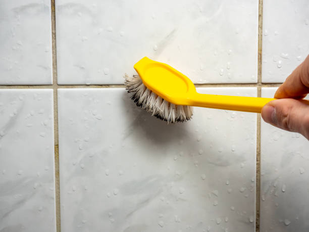 Best Office Mold Removal Services  in Celina, TN
